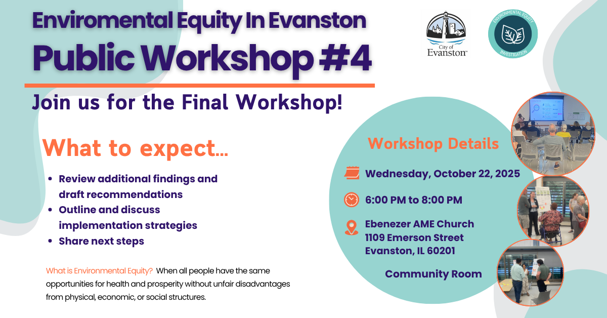 EEI Workshop #4 Digital Graphic